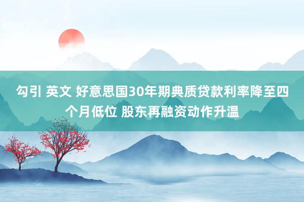 勾引 英文 好意思国30年期典质贷款利率降至四个月低位 股东再融资动作升温