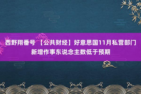 西野翔番号 【公共财经】好意思国11月私营部门新增作事东说念主数低于预期