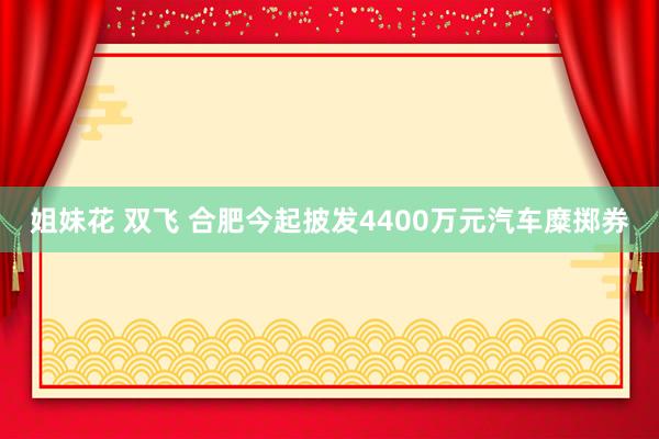 姐妹花 双飞 合肥今起披发4400万元汽车糜掷券