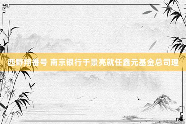 西野翔番号 南京银行于景亮就任鑫元基金总司理