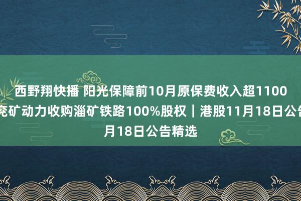 西野翔快播 阳光保障前10月原保费收入超1100亿元 兖矿动力收购淄矿铁路100%股权｜港股11月18日公告精选