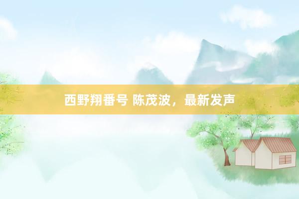 西野翔番号 陈茂波，最新发声