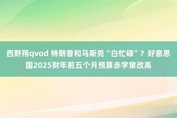 西野翔qvod 特朗普和马斯克“白忙碌”？好意思国2025财年前五个月预算赤字窜改高