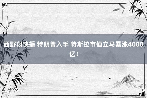西野翔快播 特朗普入手 特斯拉市值立马暴涨4000亿！