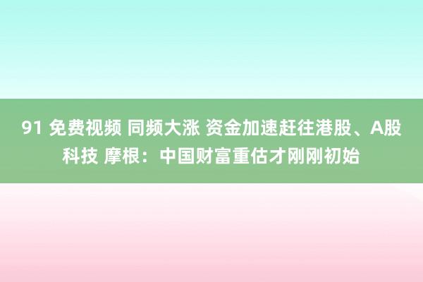 91 免费视频 同频大涨 资金加速赶往港股、A股科技 摩根：中国财富重估才刚刚初始