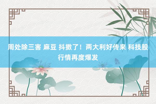 周处除三害 麻豆 抖擞了！两大利好传来 科技股行情再度爆发