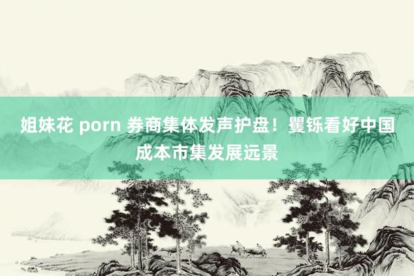 姐妹花 porn 券商集体发声护盘！矍铄看好中国成本市集发展远景