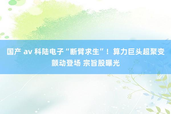 国产 av 科陆电子“断臂求生”！算力巨头超聚变颤动登场 宗旨股曝光