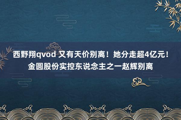 西野翔qvod 又有天价别离！她分走超4亿元！金圆股份实控东说念主之一赵辉别离
