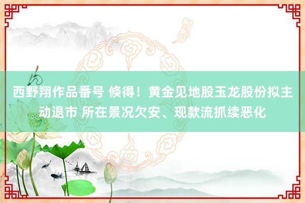 西野翔作品番号 倏得！黄金见地股玉龙股份拟主动退市 所在景况欠安、现款流抓续恶化