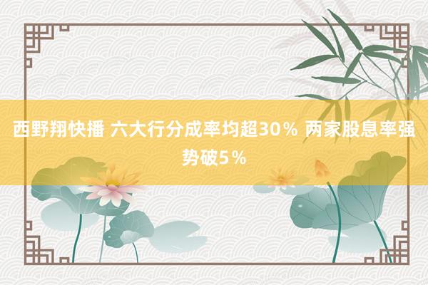 西野翔快播 六大行分成率均超30％ 两家股息率强势破5％